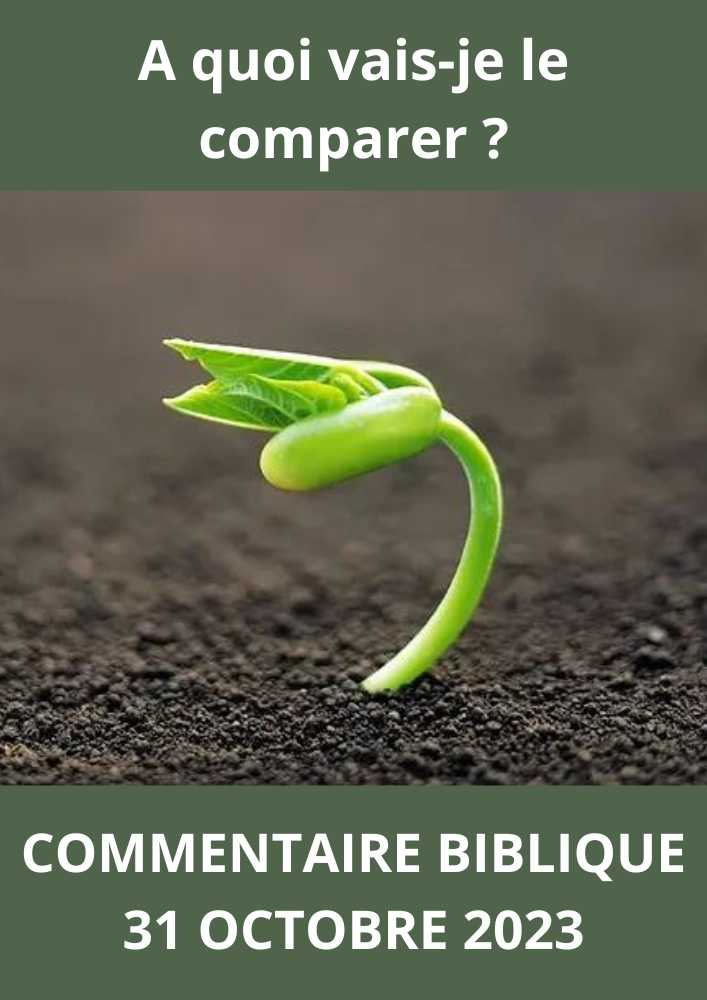 Lire la suite à propos de l’article Commentaire biblique du Mardi 31 Octobre 2023